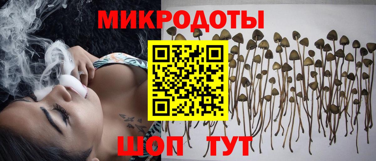 Таганрог  Галлюциногенные грибы ЛСД  Вход с VPN 